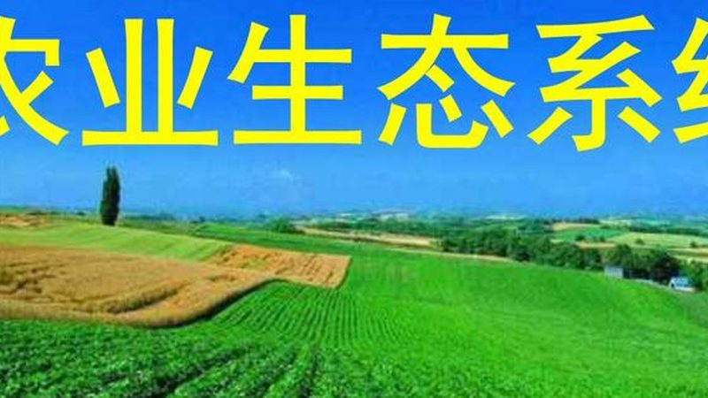 生鲜配送定制服务方案