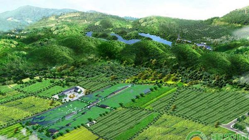 大规模粮食种植基地如何选？关键在于这些因素**