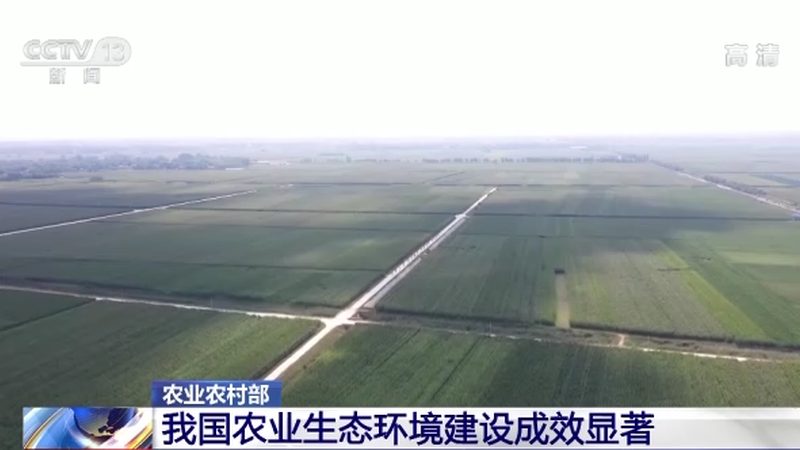 食材配送投标书：如何构建一个专业的目录结构