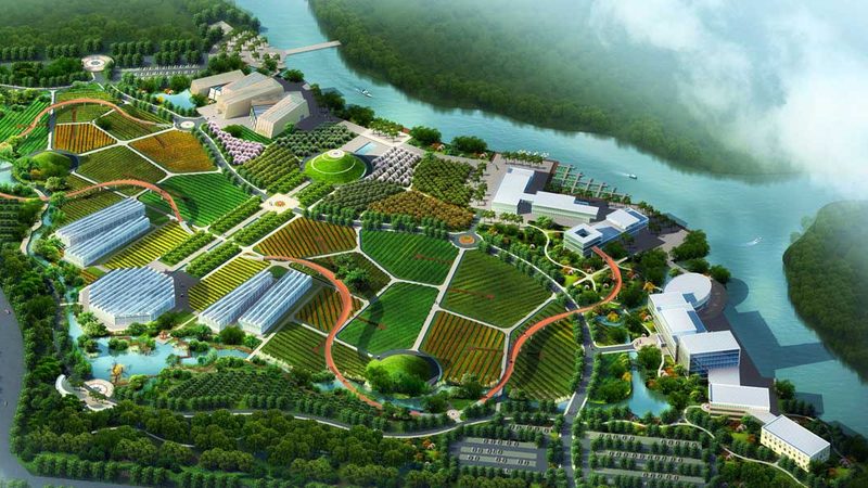 果蔬区域代理加盟：本地市场分析的五大关键点
