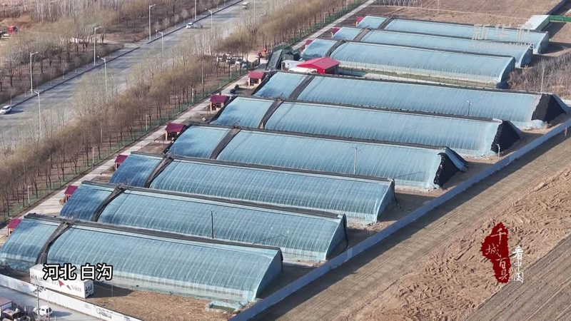 社区生鲜配送加盟，费用构成及标准解析