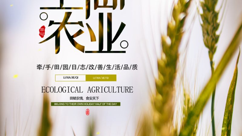合作社可以选择以下几种方式进行税收优惠申报：