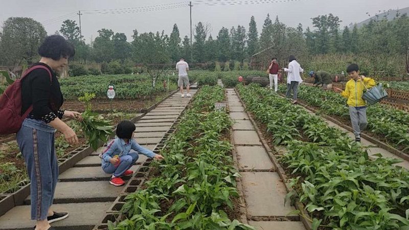 2025年农业产业园补贴政策解析：机遇与挑战并存**