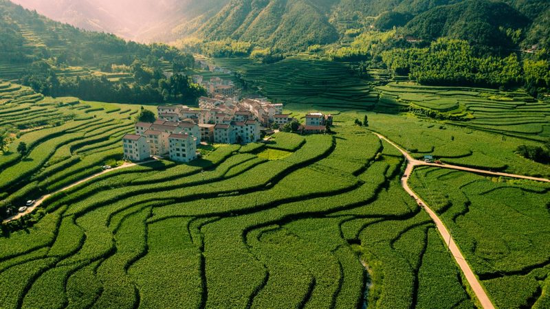 农业种植地块价格评估：如何科学决策？**