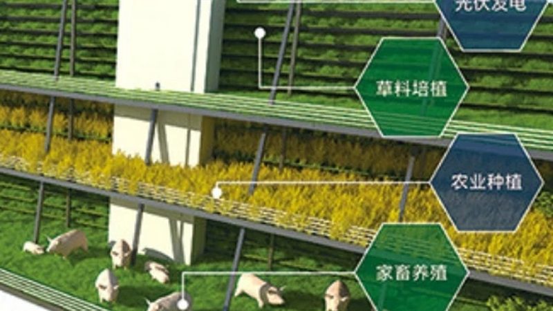 农产品批发商如何选择进货渠道：渠道对比与选择要点**