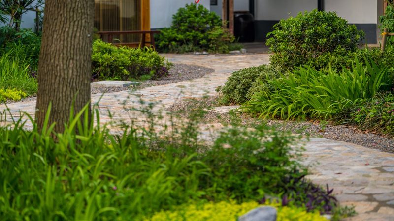 成都周边粮食种植基地考察：揭秘现代生态农业实践